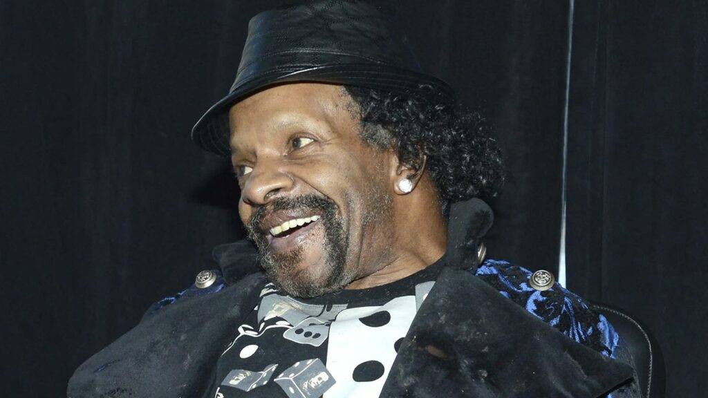 Sly Stone Net Worth Year