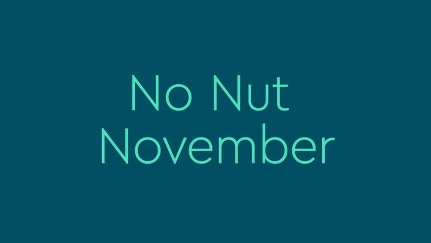 No Nut November Rules And Mean, What Is It Supposed To Do? Is NNN ...