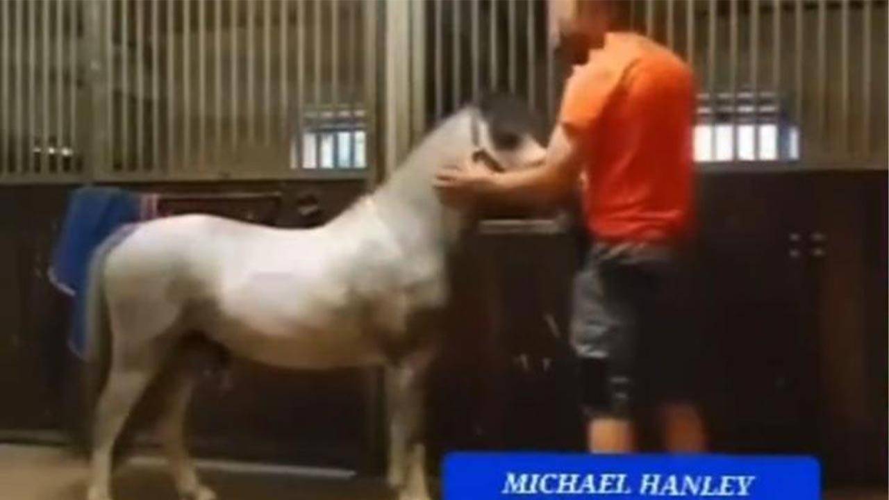 Overview of the "Michael Hanley Horse Video" Controversy