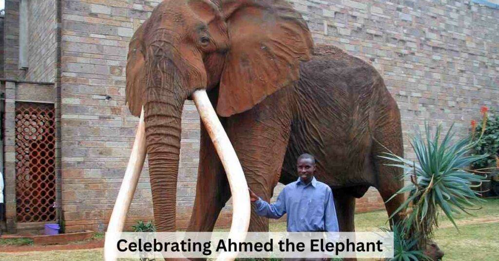 Ahmed The Elephant Age