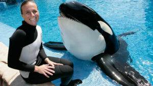 Dawn Brancheau Video, Dawn Therese Brancheau Death Video Footage, Dawn