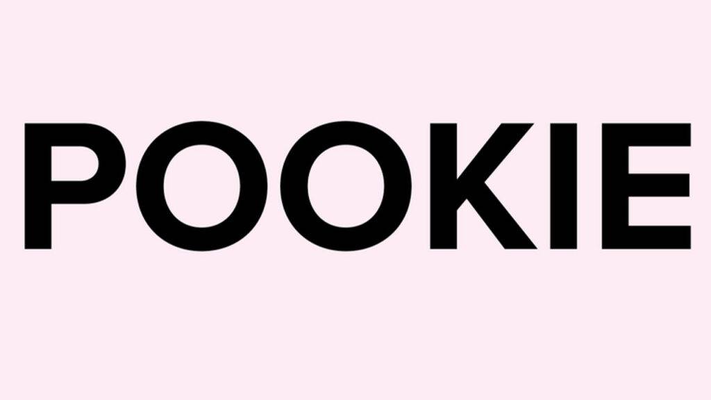 Pookie Slang Meaning Pookie Meaning From A Girl