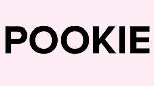 Pookie Slang Meaning: What Does Pookie Mean on TikTok? Know Pookie