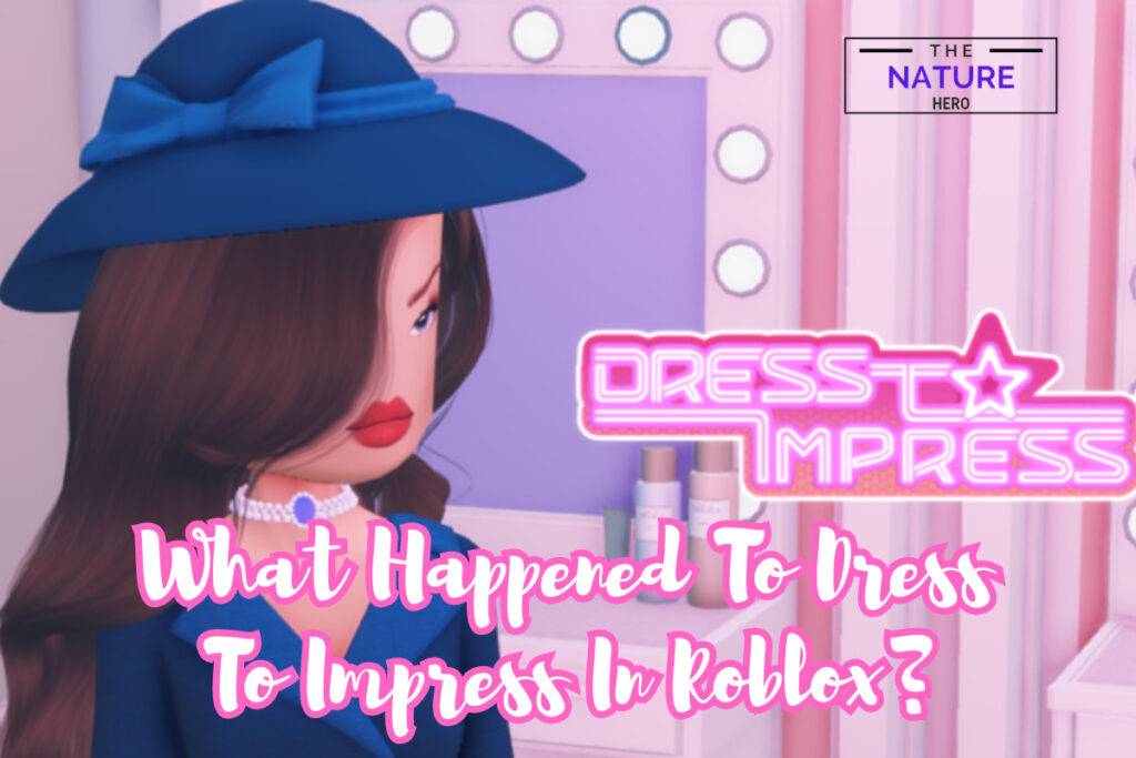 Dress To Impress Roblox Latest News What Happened To Dress To Impress Is Roblox Dress To 