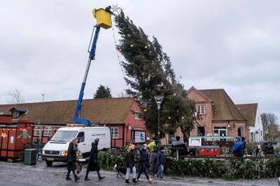 Woman Killed By Christmas Tree 1