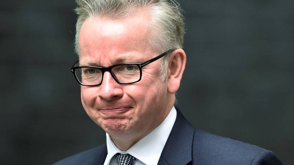 Michael Gove Done To His Face