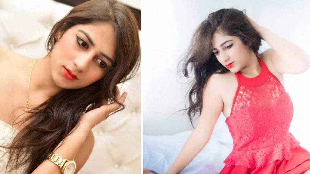 Model Divya Pahuja Murder