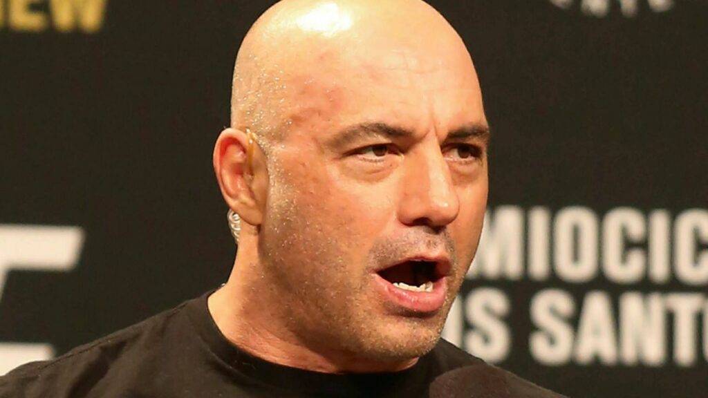 Joe Rogan biography