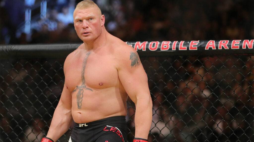 Brock Lesnars Net Worth