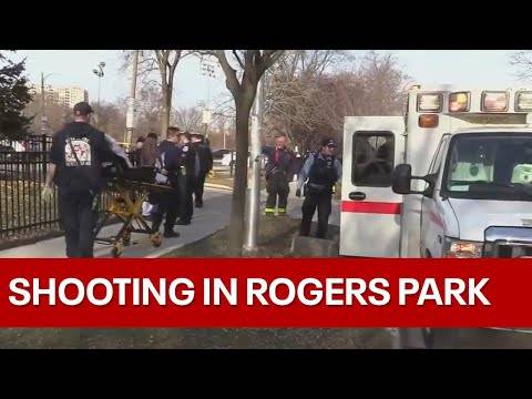 Fatal Shooting At Rogers Park Leaves A Woman Dead