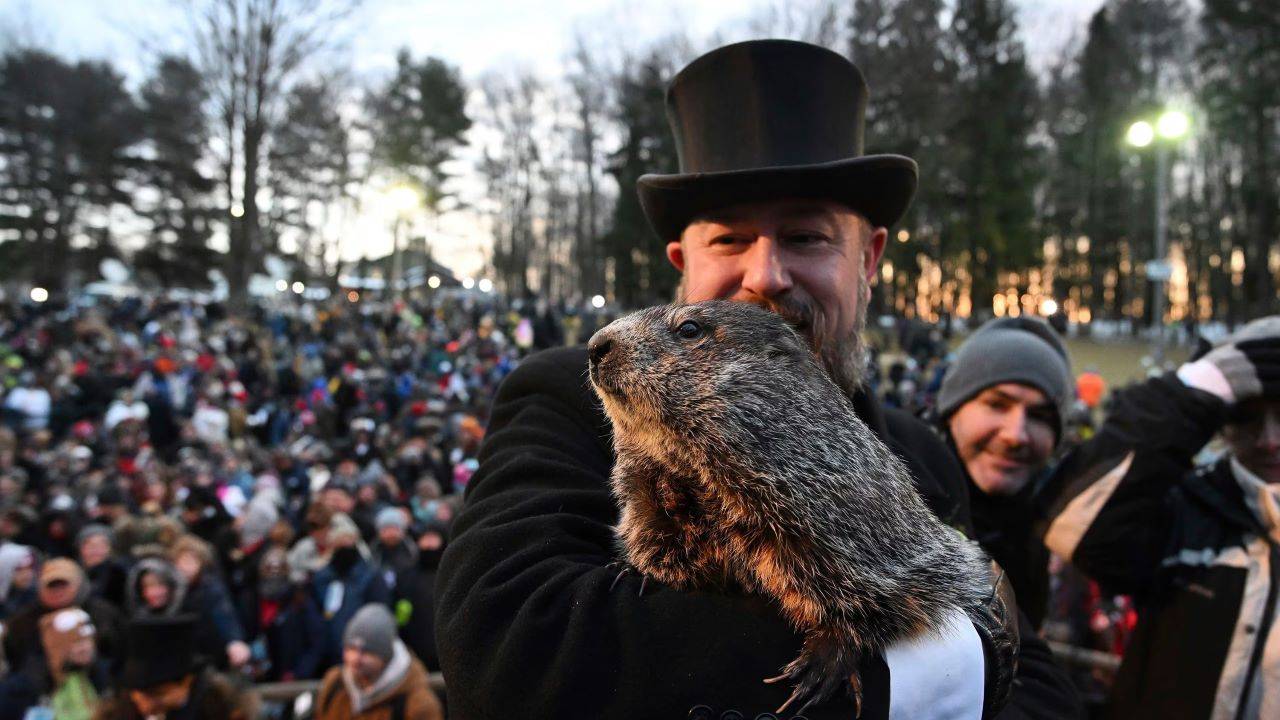 What Happens if the Groundhog See His Shadow? What Time Does Groundhog