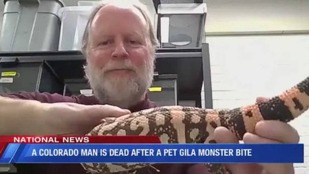 Man Killed By Gila Monster