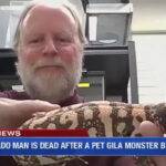 Man Killed By Gila Monster