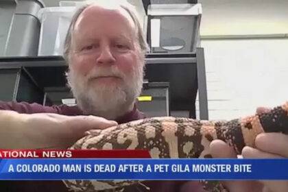 Man Killed By Gila Monster