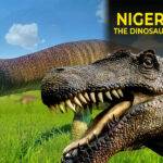 Nigersaurus Dinsaur