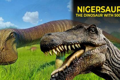 Nigersaurus Dinsaur