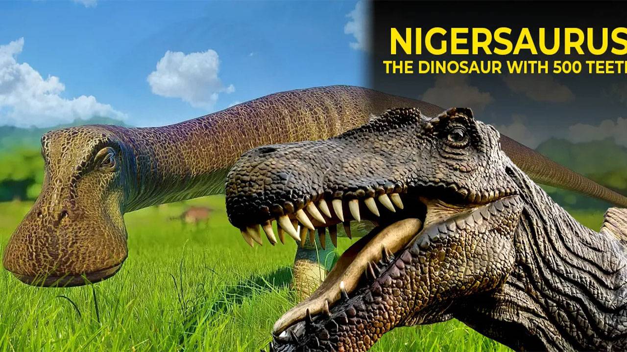 Nigersaurus Dinsaur