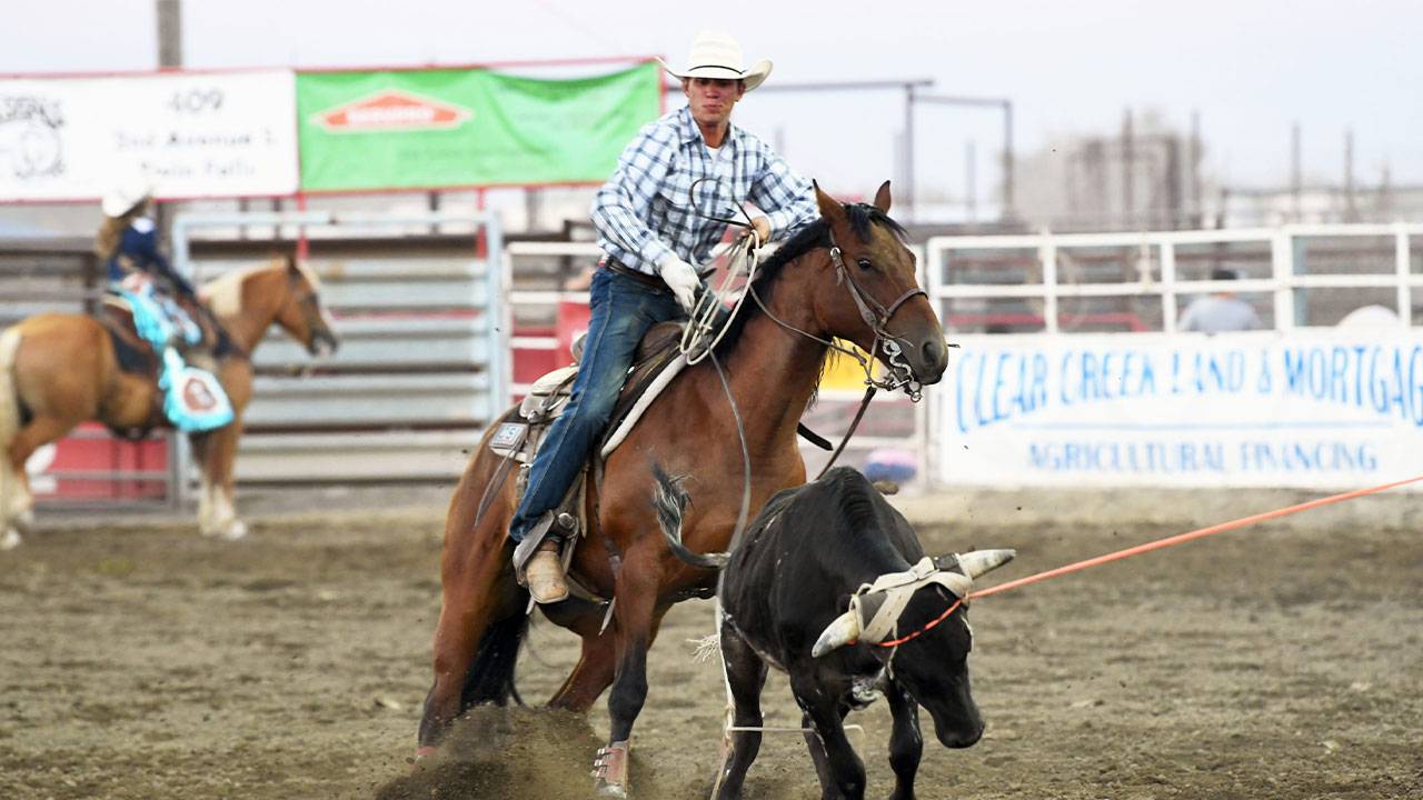 Quinn Kesler Accident: National Finals Rodeo Qualifying Team Roper ...
