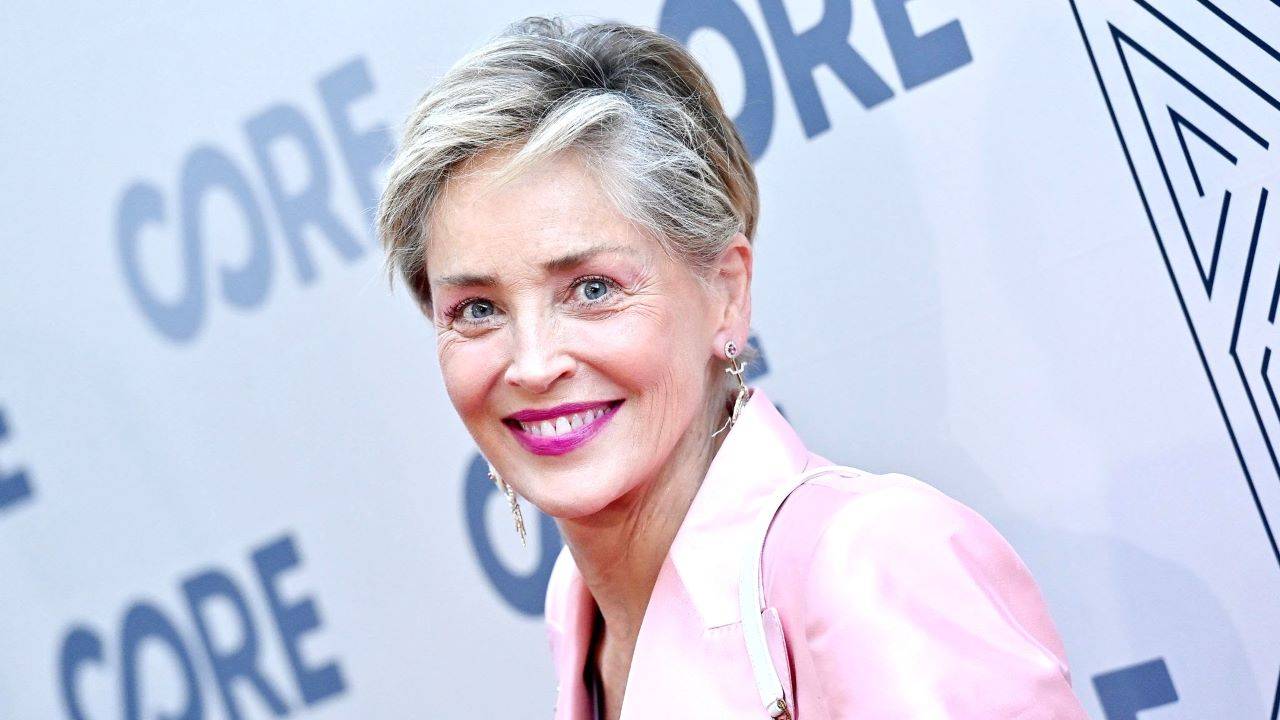 Sharon Stone Net Worth