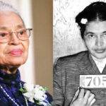 When Was Rosa Parks Born